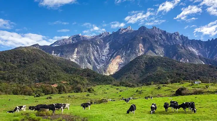 Tempat Menarik di Kundasang